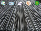 Galvanizied seamless steel tube